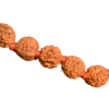 Premium Quality Rudraksha Mala - Image 2