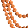 Premium Quality Rudraksha Mala - Image 3